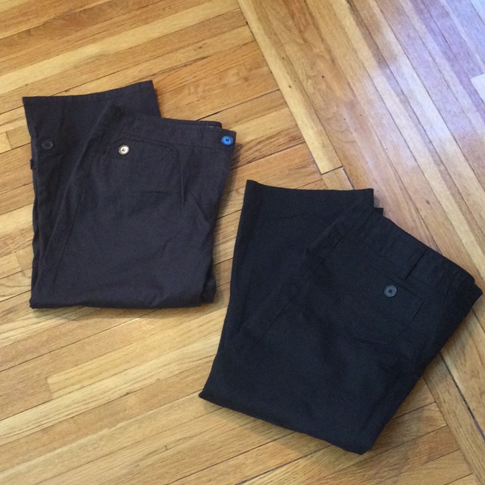 Ann Taylor Petites Marisa Capri bundle